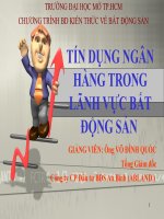 tín dụng trong lĩnh vực bất động sản