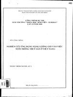 Đề tài : Nghiên cứu ứng dụng năng lượng gió vào việc nuôi trồng thủy sản ở việt nam