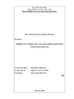 nghiên cứu chọn lọc lai tạo giống bạch đàn có năng xuất gỗ cao