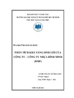 Tiểu luận: Phân tích khả năng sinh lời của công ty – công ty nhựa Bình Minh
