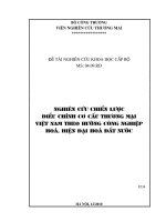 Nghiên cứu chiến lược điều chỉnh cơ cấu thương mại việt nam theo hướng công nghiệp hóa, hiện đại hóa đất nước