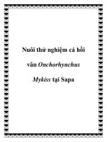 Nuôi thử nghiệm cá hồi vân Onchorhynchus Mykiss tại Sapa doc