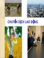 Bài giảng môn kinh tế lao động - Chuyển dịch lao động - thầy Vũ Thanh Liêm
