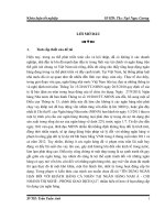 Tín dụng ngắn hạn đối với khách hàng cá nhân tại ngân hàng Nam Á-chi nhánh Thị Nghè -phòng giao dịch quận 2