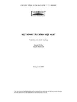Hệ thống tài chính ở Việt nam