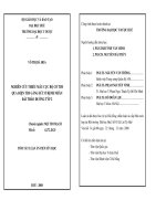 Nghiên cứu thiếu máu cục bộ cơ tim qua điện tim gắng sức ở bệnh nhân đái tháo đường týp 2