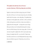 Thử nghiệm nuôi phát dục tôm sú (Penaeus monodon Fabricius, 1798) bố mẹ bằng thức ăn chế biến pdf