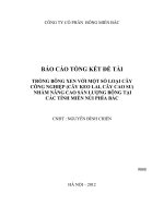 trồng bông xen với một số loại cây công nghiệp (cây keo lai, cây cao su) nhằm nâng cao sản lượng bông tại các tỉnh miền núi phía bắc
