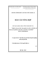 nghiên cứu quy trình công nghệ sản xuất và chế biến chè shan tạo sản phẩm an toàn phục vụ nội tiêu và xuất khẩu