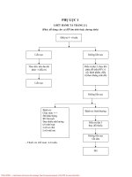 Nghiên cứu tác dụng của chế phẩm HPmax trong điều tri loét hành tá tràngcó Helicobacter pylori