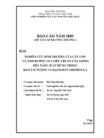 nghiên cứu sinh trưởng của cây con và ảnh hưởng của cây giống đến năng suất rừng trồng keo tai tượng và bạch đàn urophylla