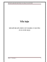 Tiểu luận: Mối liên hệ giữa phân cấp tài khóa và nợ công ở các nước OECD