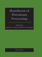 handbook of petroleum processing