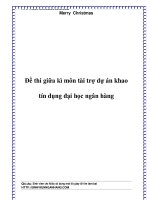 Đề thi giữa kì môn tài trợ dự án khao tín dụng đại học ngân hàng pptx