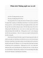 Phân tích Những ngôi sao xa xôi doc