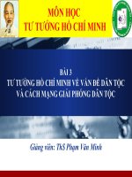 tư tưởng hồ chí minh về vấn đề dân tộc và cách mạng giải phóng dân tộc