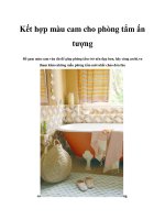 Kết hợp màu cam cho phòng tắm ấn tượng docx