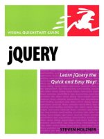 peachpit press visual quickstart guide jquery