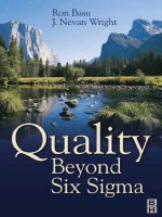 Quality beyond six sigma (2003)