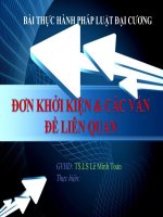 Tố tụng dân sự - Đơn khởi kiện và các vấn đề liên quan