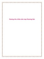 Hương nhu chữa cảm mạo thương hàn docx