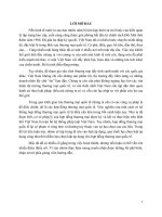 Đề tài: Luật hợp đồng thương mại quốc tế pptx