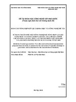 Sử dụng nguồn phế thải nông nghiệp để tổng hợp vật liệu nano silic và nano cacbon làm xúc tác cho quá trình chuyển hóa cặn dầu thực vật thành nhiên liệu sinh học và làm chất hấp phụ để sản xuất etanol tuyệt đối