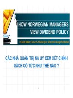 Thuyết trình Các nhà quản trị Na Uy xem xét chính sách cổ tức như thế nào