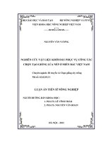 Đề tài : nghiên cứu vật liệu khởi đầu phục vụ công tác chọn tạo giống lúa nếp ở miền bắc việt nam