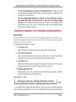CÁC CÔNG CỤ VÀ KỸ THUẬT DÙNG KHI CHƠI FOREX