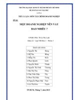 Một doanh nghiệp nên vay bao nhiêu ?