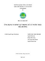 ỨNG DỤNG VI SINH VẬT TRONG XỬ LÝ NƯỚC THẢI MÍA ĐƯỜNG docx