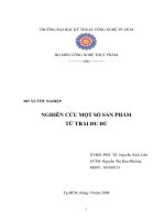nghiên cứu một số sản phẩm từ trái đu đủ