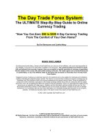 bortucene & macy - the day trade forex system