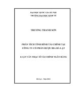 phân tích tình hình tài chính tại công ty cổ phần rượu bia đà lạt