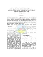 Phân lập, tuyển chọn chủng vi khuẩn Bacillus đối kháng nấm Fusarium oxysporum gây bệnh héo rũ trên một số cây trồng cạn pot