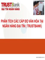 PHÂN TÍCH CÁC CẤP ĐỘ VĂN HÓA TẠI  NGÂN HÀNG ĐẠI TÍN ( TRUSTBANK)