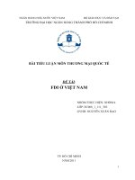 FDI ở VIỆT NAM