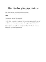 5 bài tập đơn giản giúp xả stress pdf