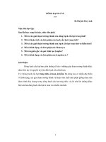 DÒNG BẠCH CẦU pot