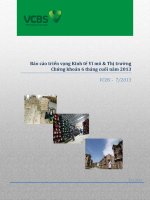 Báo cáo triển vọng kinh tế vĩ mô và thị trường chứng khoán 6 tháng cuối năm 2013