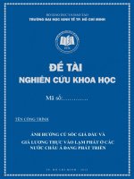 Ảnh hướng của cú sốc giá dầu và giá lương thực thế giới đến lạm phát ở các nước Châu Á đang phát triển