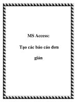 MS Access: Tạo các báo cáo đơn giản pot