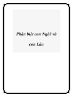 Phân biệt con Nghê và con Lân pdf