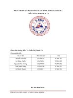 Phân tích tài chính công ty cổ phần xi măng sông đà