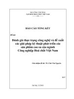 Đánh giá thực trạng công nghệ và đề xuất các giải pháp kỹ thuật phát triển các sản phẩm cao su của ngành công nghiệp hóa chất việt nam
