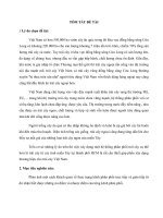 Giải pháp hoàn thiện hệ thống phân phối và tạo đầu ra ổn định cho trái cây miền Tây tại tp HCM