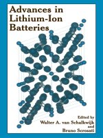 advances in lithium-ion batteries 2002 - schalkwijk & scrosati