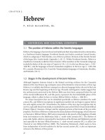 11 hebrew (the ancient languages of syria-palestine and arabia)