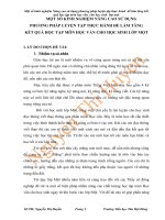 Một số KN nâng cao SDPP LTTH để làm tăng KQHT môn HV cho HS lớp 1   thi c huyền